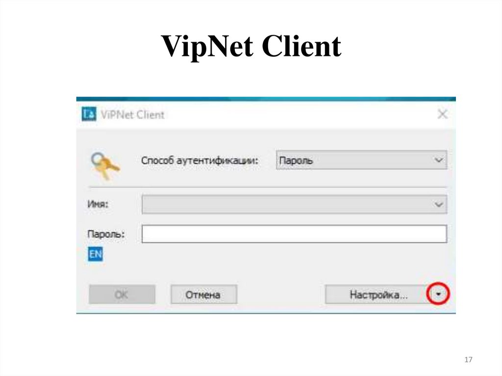 VipNet Client