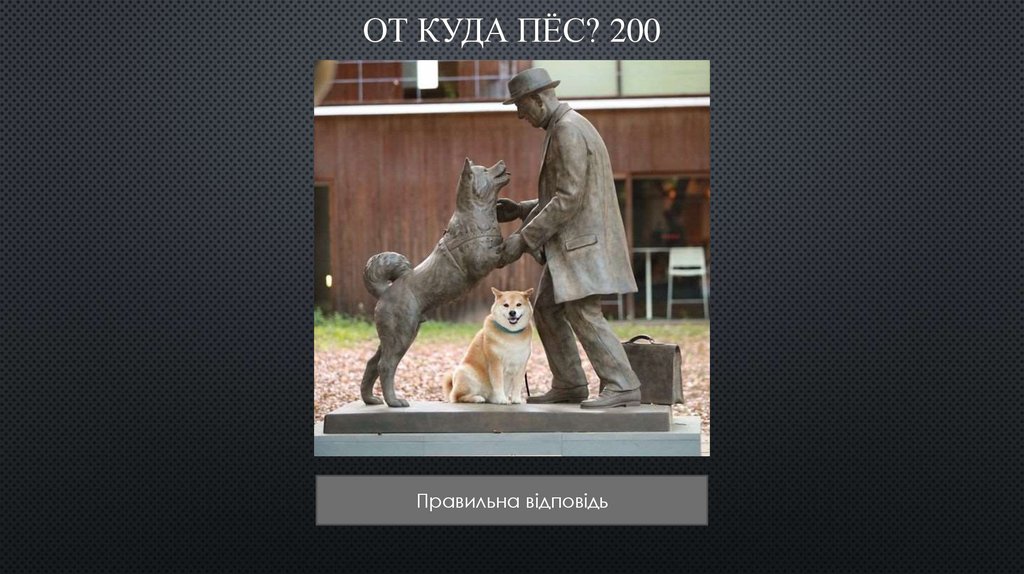 От куда пёс? 200