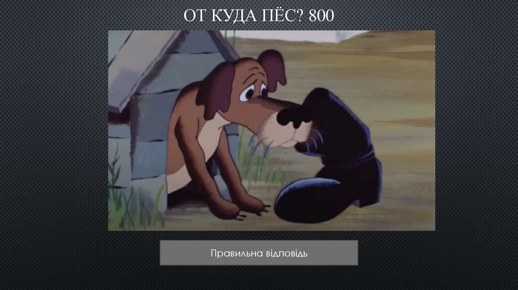 От куда пёс? 800