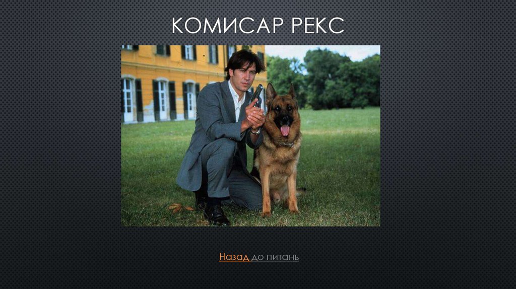 Комисар рекс