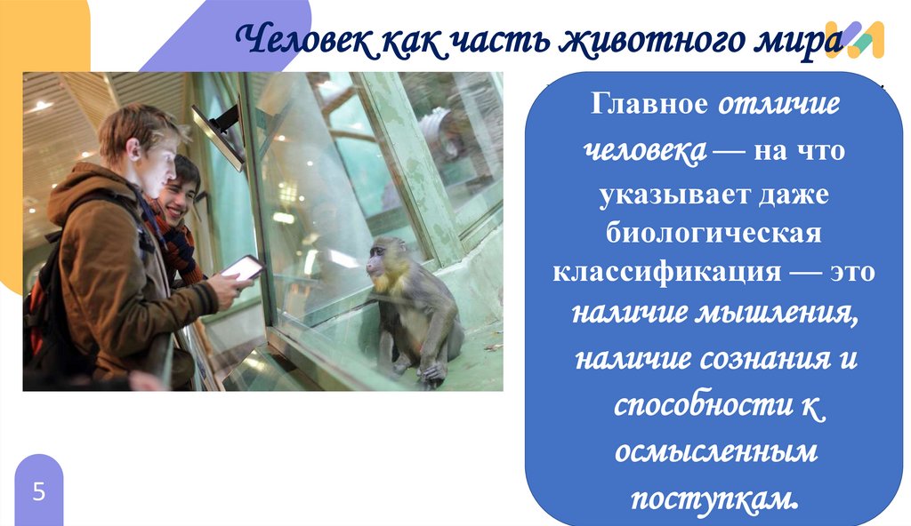 Человек как часть животного мира