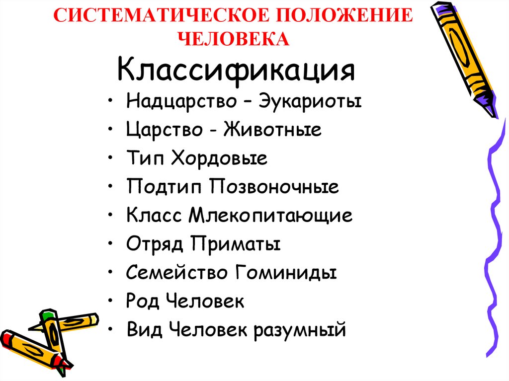 СИСТЕМАТИЧЕСКОЕ ПОЛОЖЕНИЕ ЧЕЛОВЕКА Классификация