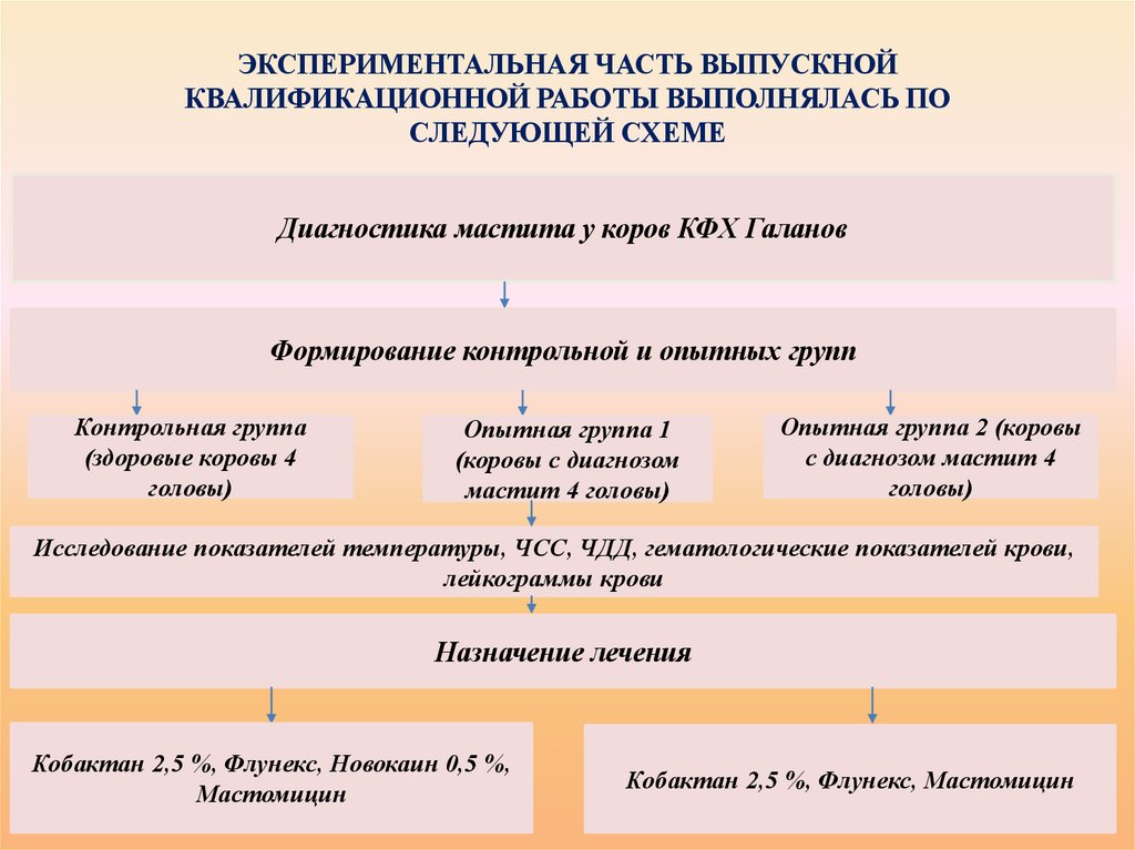 ЭКСПЕРИМЕНТАЛЬНАЯ ЧАСТЬ ВЫПУСКНОЙ КВАЛИФИКАЦИОННОЙ РАБОТЫ ВЫПОЛНЯЛАСЬ ПО СЛЕДУЮЩЕЙ СХЕМЕ