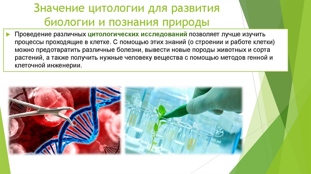 Значение цитологии для развития биологии и познания природы