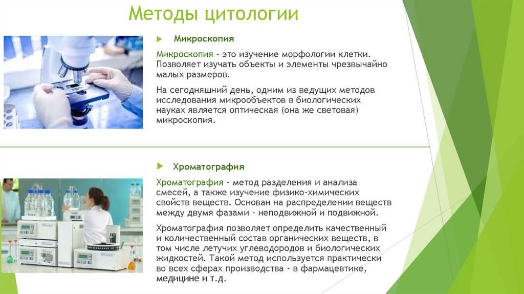 Методы цитологии