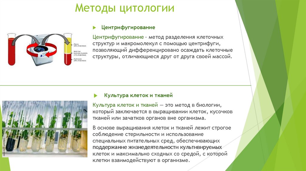 Методы цитологии