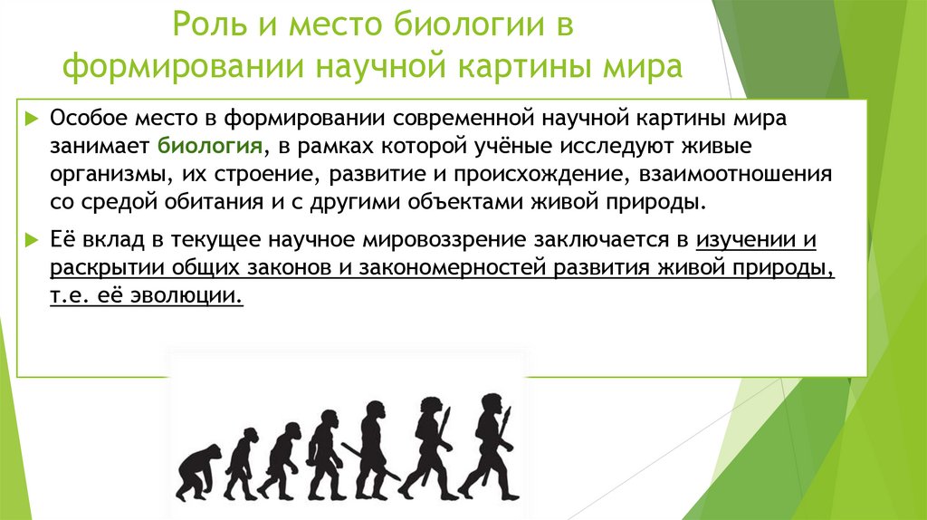Роль и место биологии в формировании научной картины мира