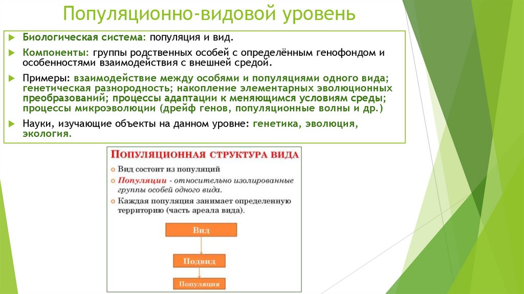 Популяционно-видовой уровень