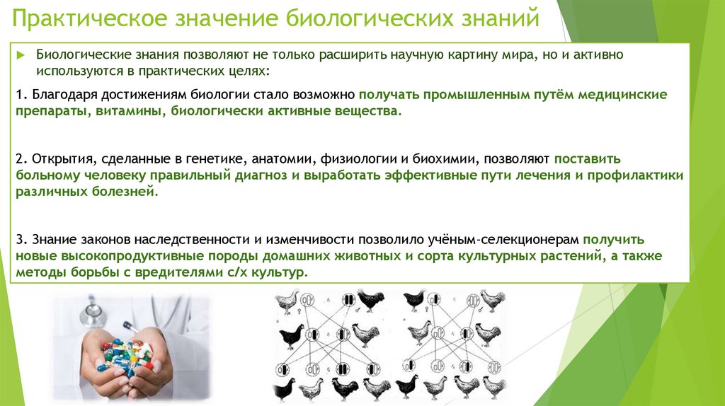 Практическое значение биологических знаний