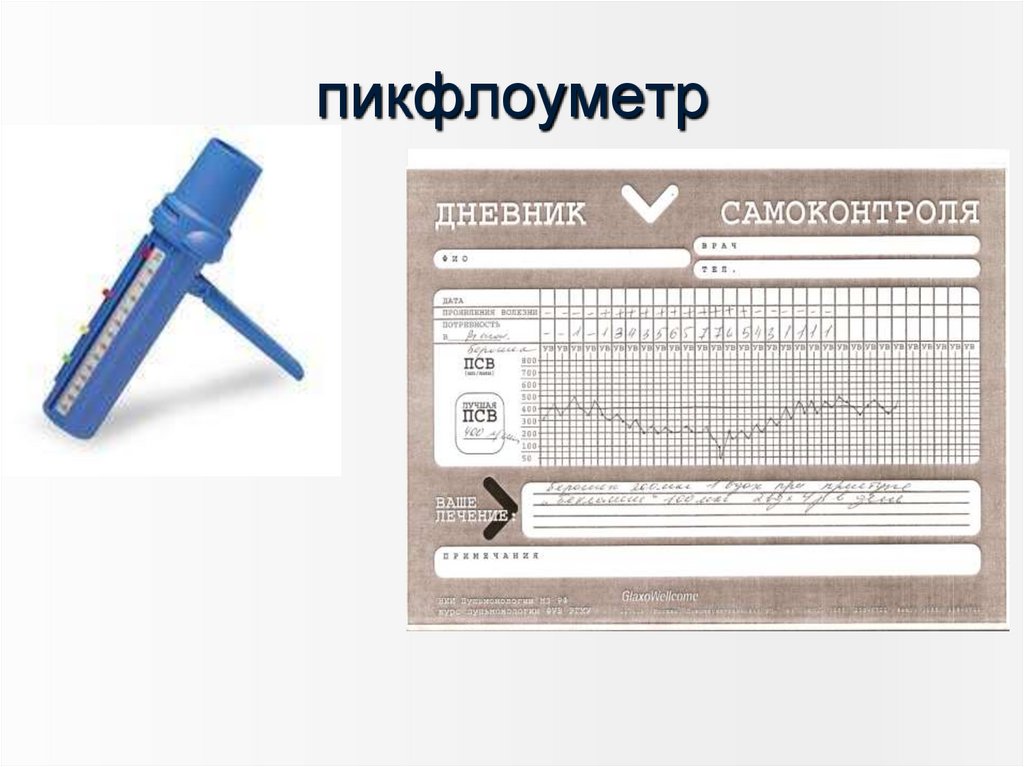 пикфлоуметр