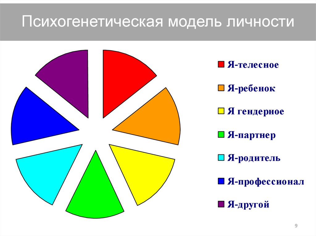 Психогенетическая модель личности