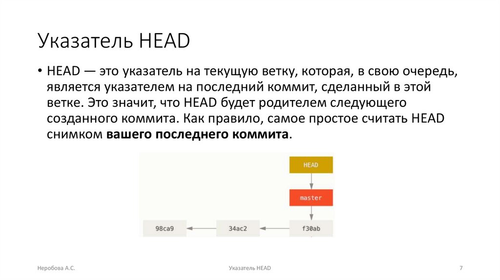 Указатель HEAD