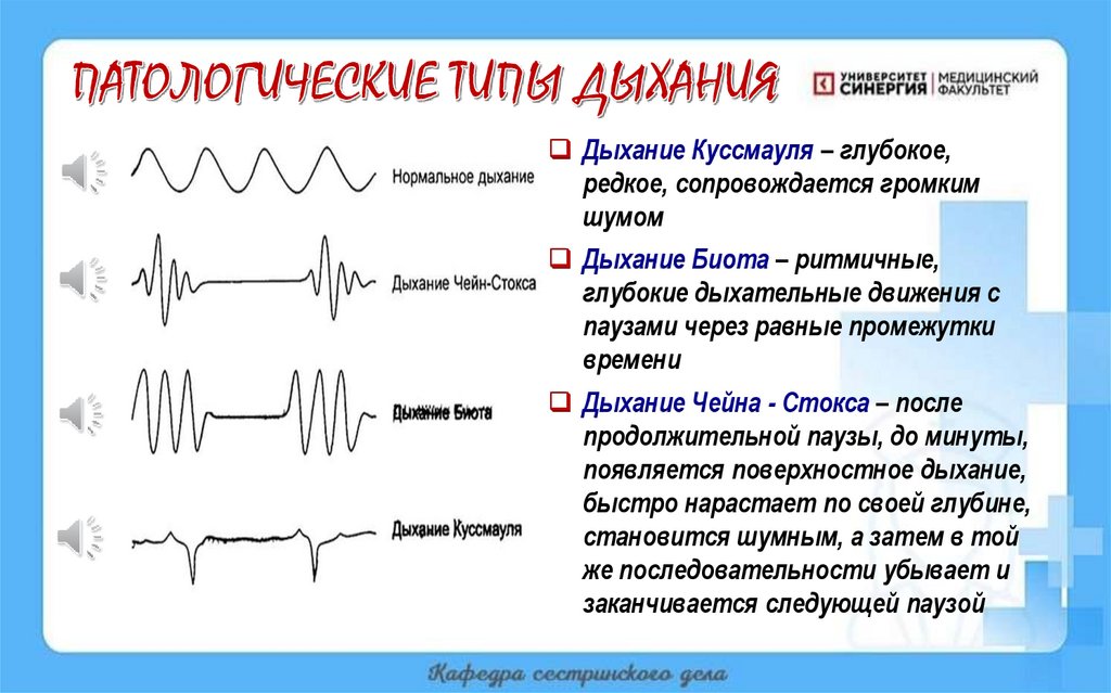 ПАТОЛОГИЧЕСКИЕ ТИПЫ ДЫХАНИЯ