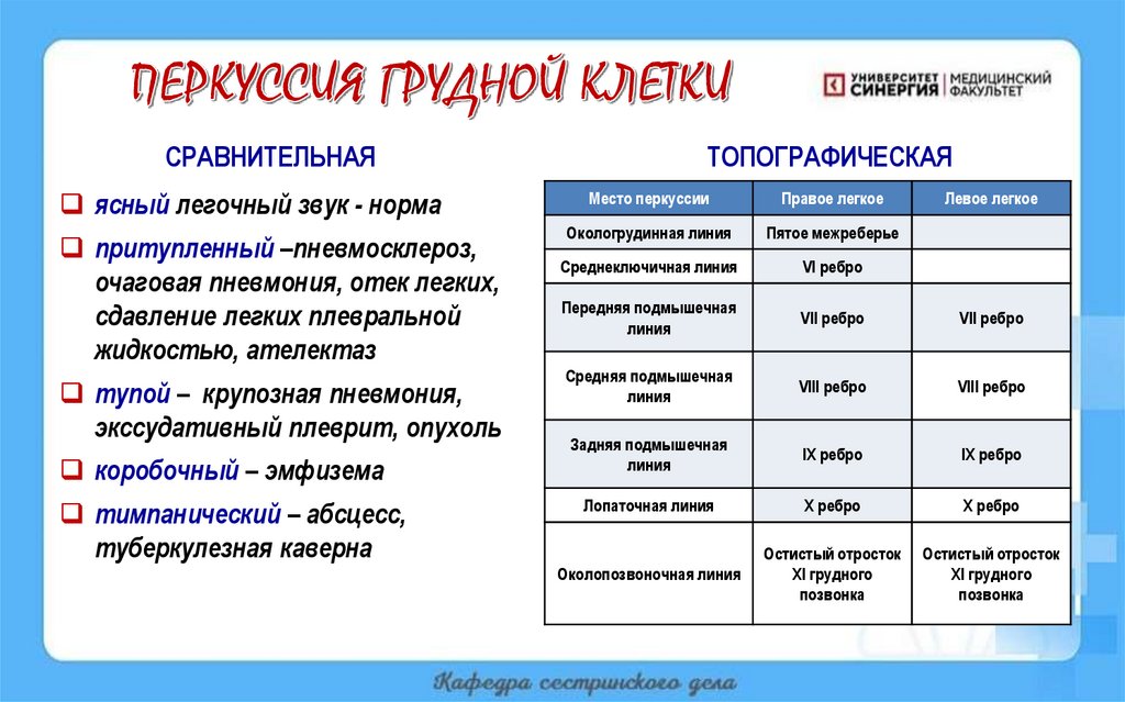 ПЕРКУССИЯ ГРУДНОЙ КЛЕТКИ