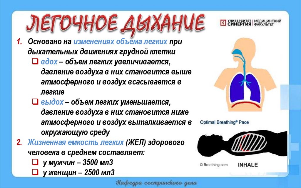 ЛЕГОЧНОЕ ДЫХАНИЕ