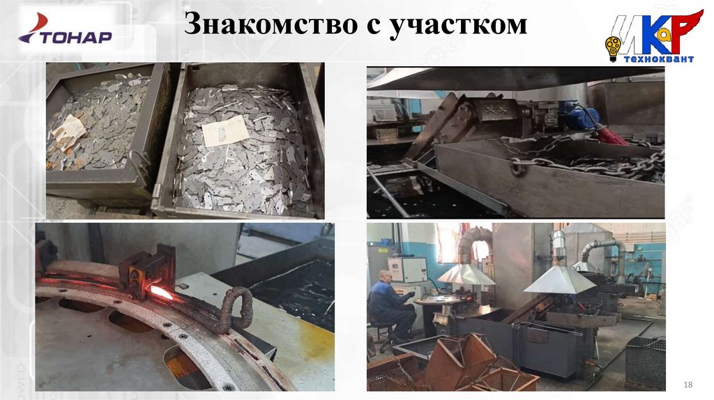 Знакомство с участком