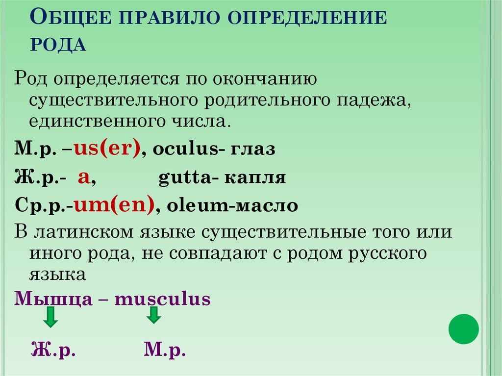 Общее правило определение рода