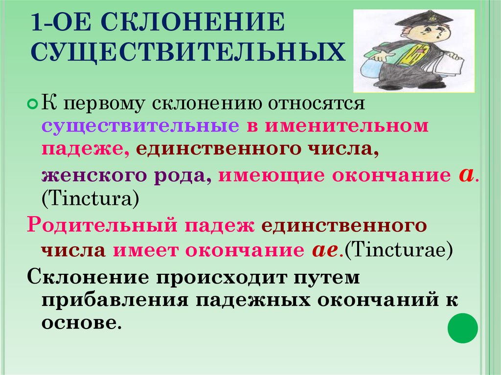 1-ОЕ СКЛОНЕНИЕ СУЩЕСТВИТЕЛЬНЫХ