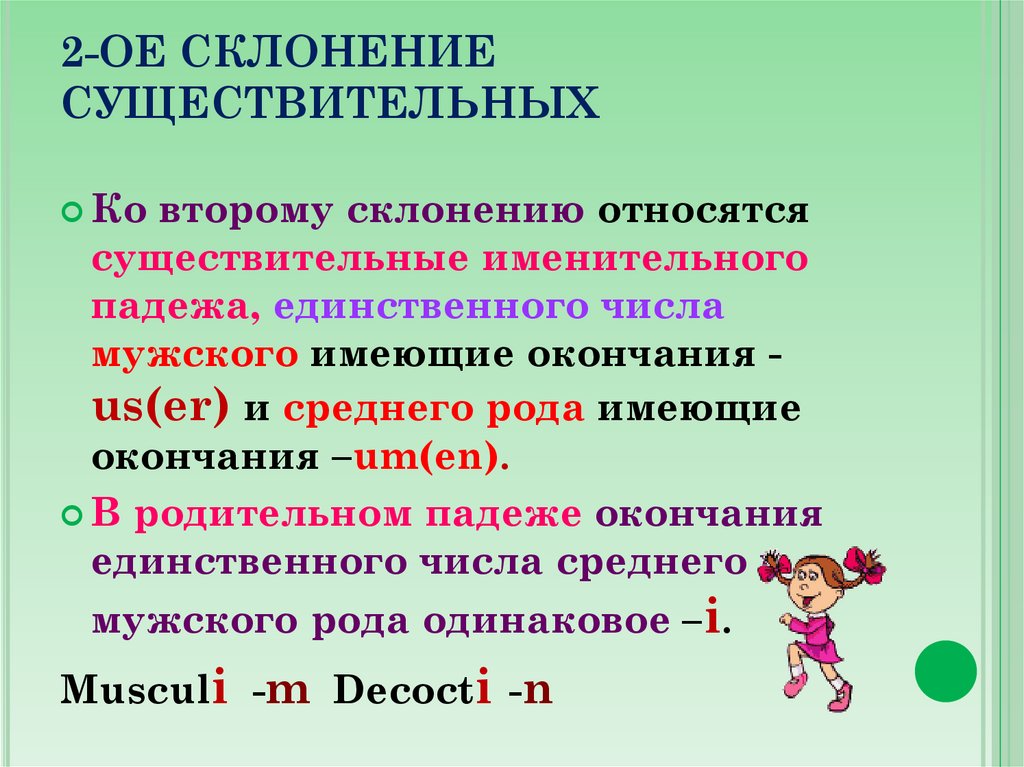 2-ОЕ СКЛОНЕНИЕ СУЩЕСТВИТЕЛЬНЫХ