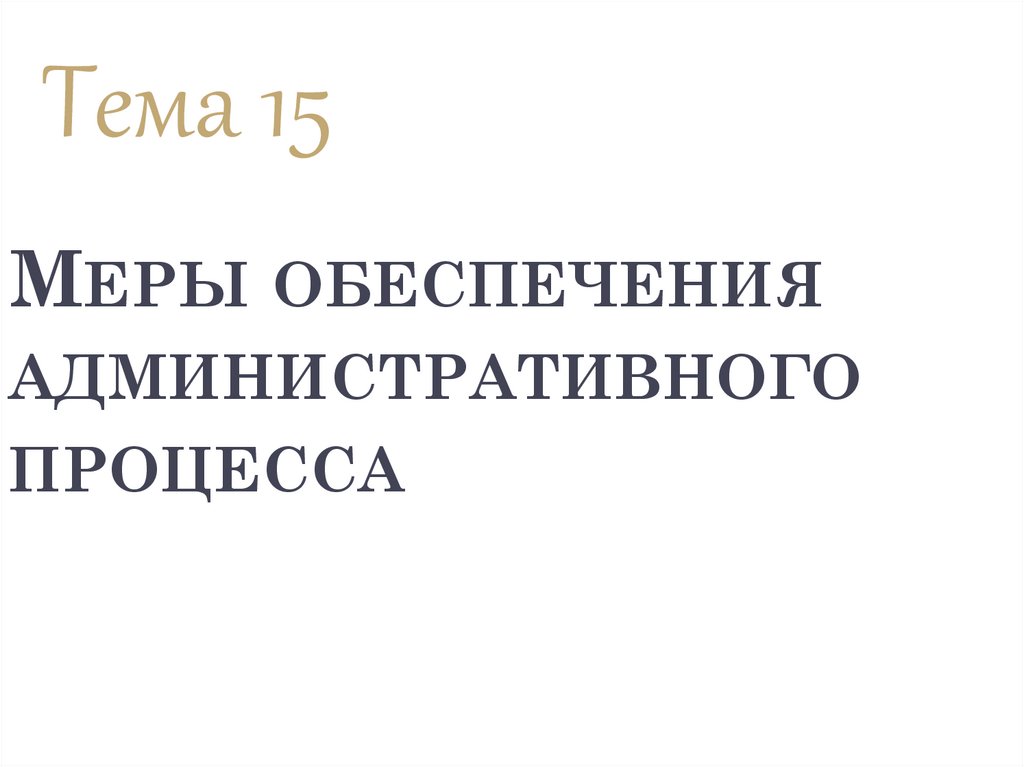 Меры обеспечения административного процесса