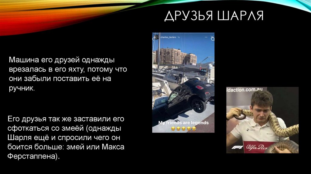 Друзья Шарля