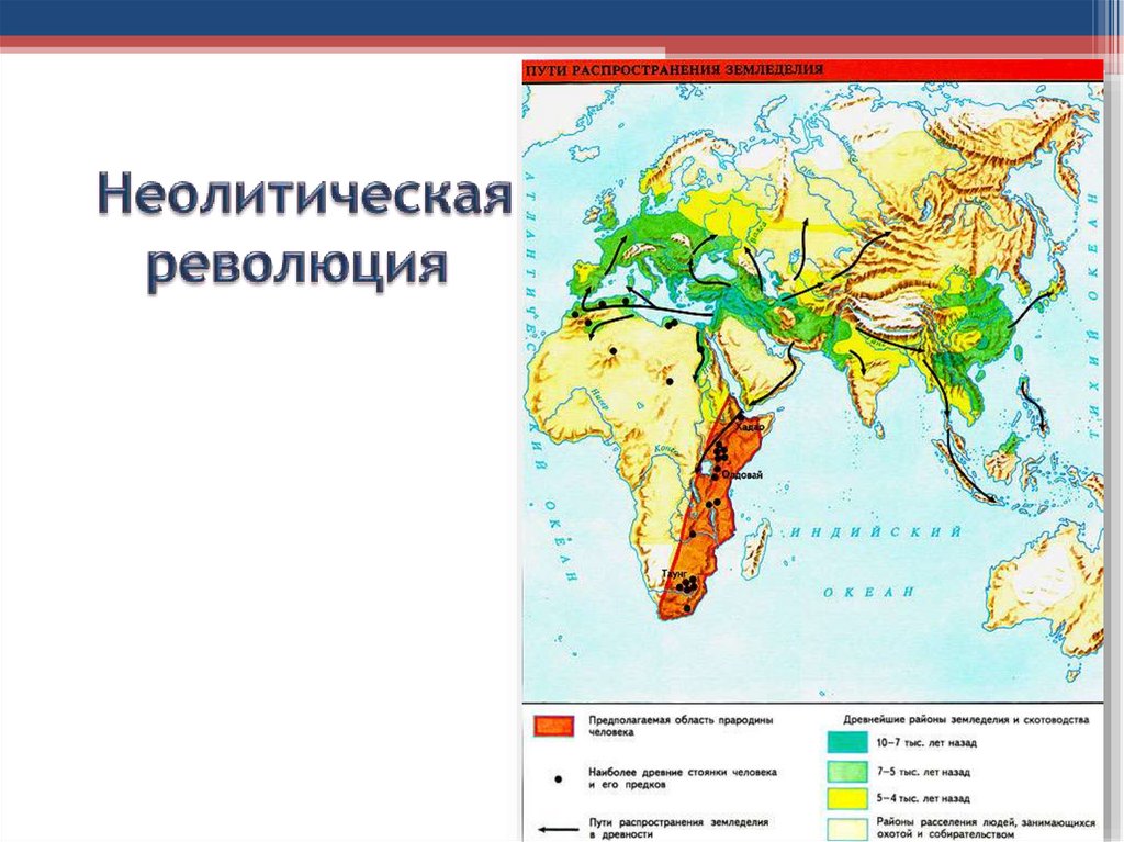 Неолитическая революция