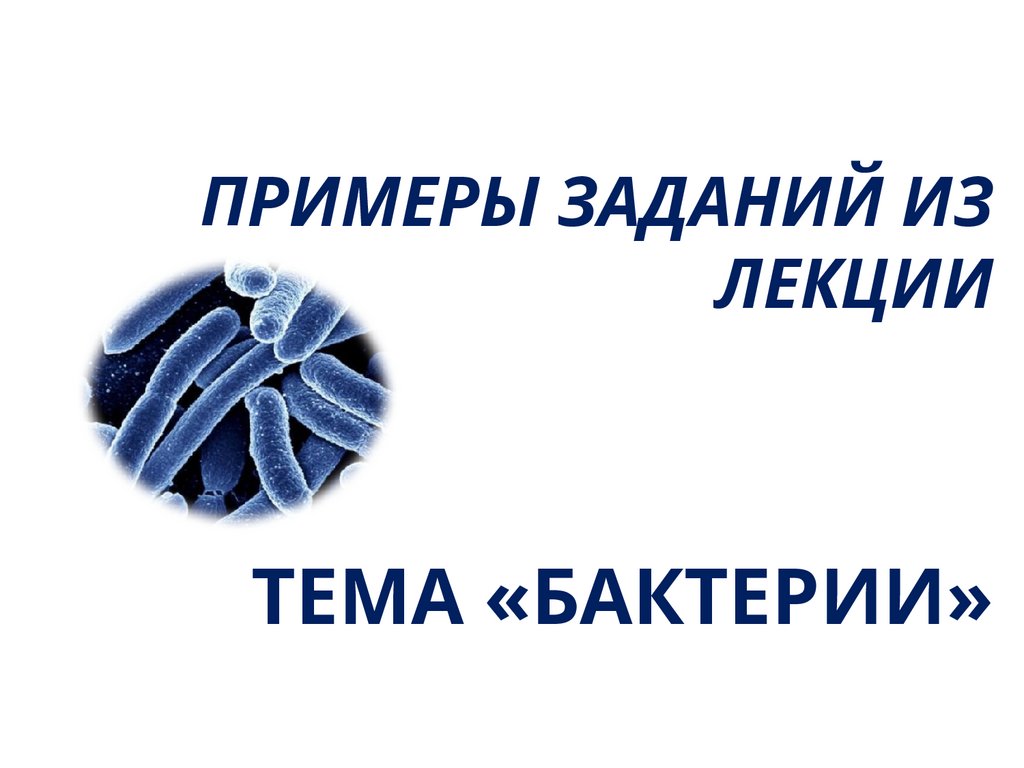 ПРИМЕРЫ ЗАДАНИЙ ИЗ ЛЕКЦИИ ТЕМА «БАКТЕРИИ»