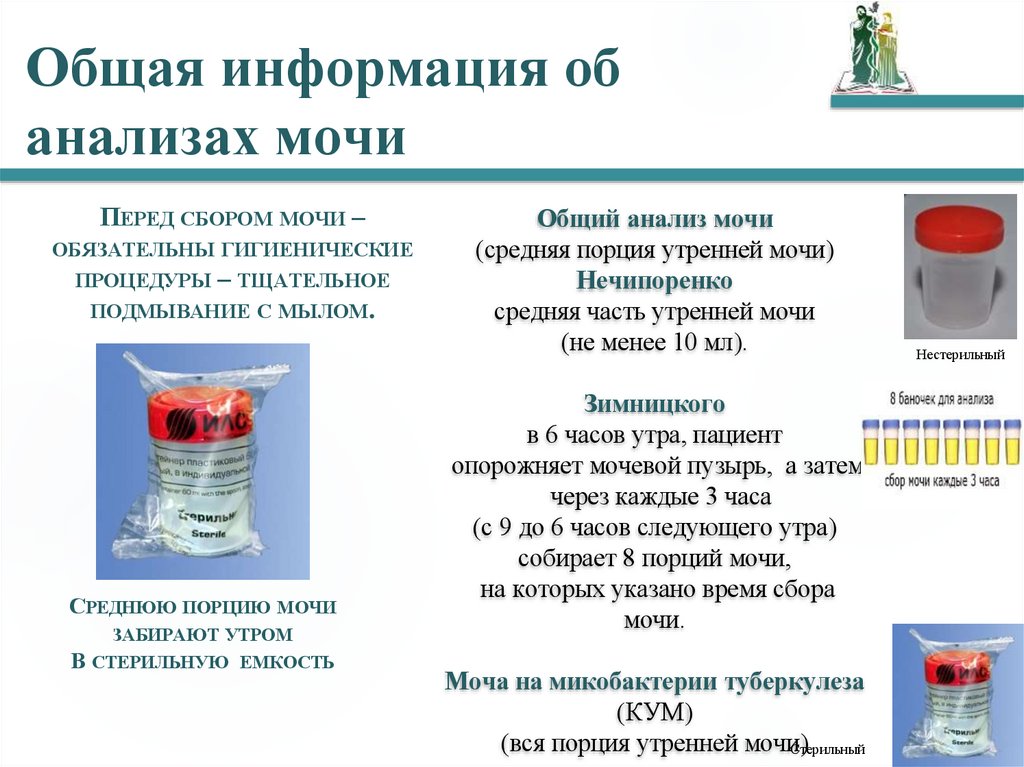 Общая информация об анализах мочи
