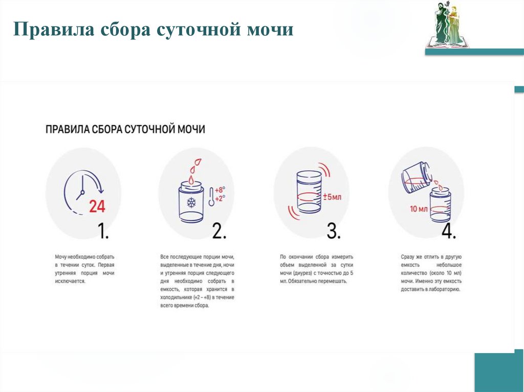 Правила сбора суточной мочи