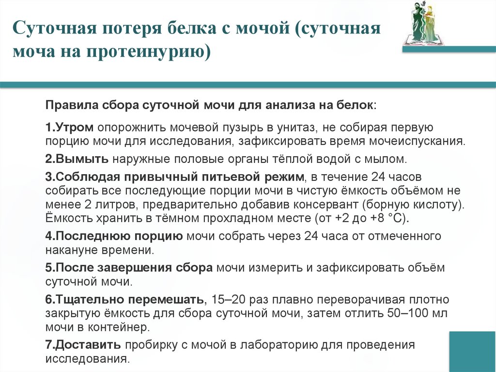 Суточная потеря белка с мочой (суточная моча на протеинурию)