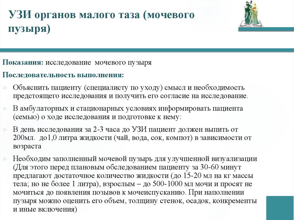 УЗИ органов малого таза (мочевого пузыря)