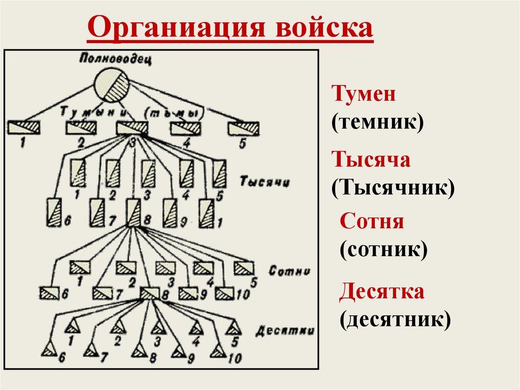 Органиация войска