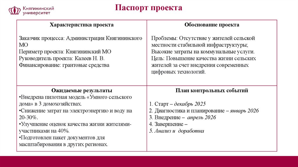 Паспорт проекта