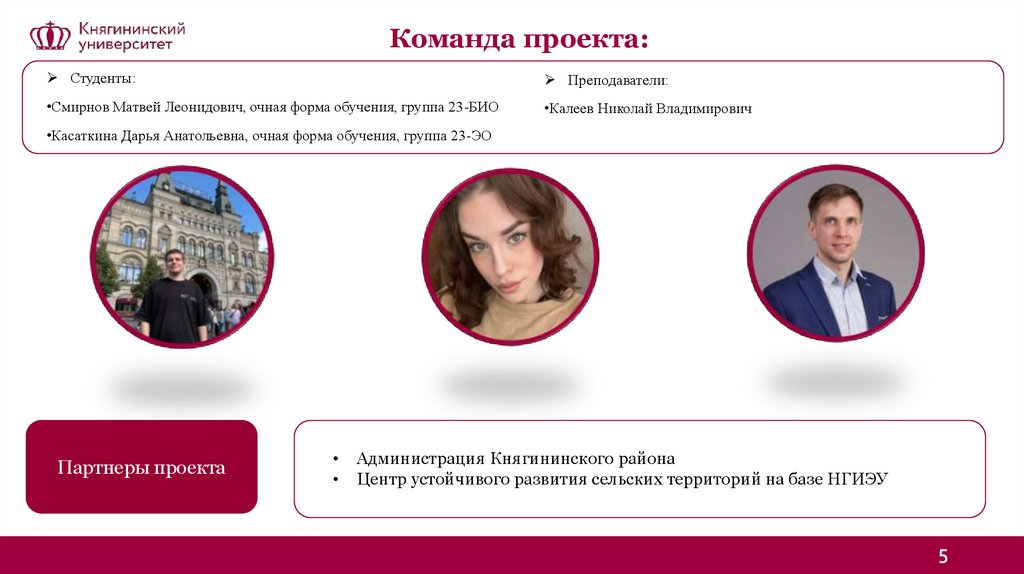 Команда проекта: