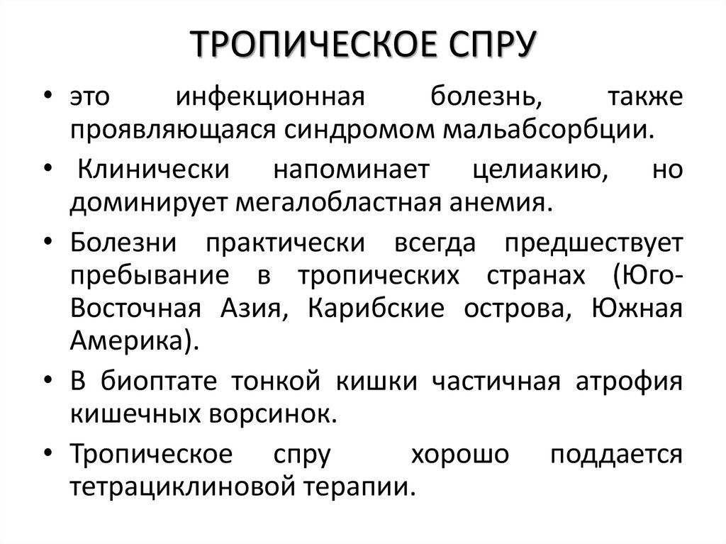 ТРОПИЧЕСКОЕ СПРУ