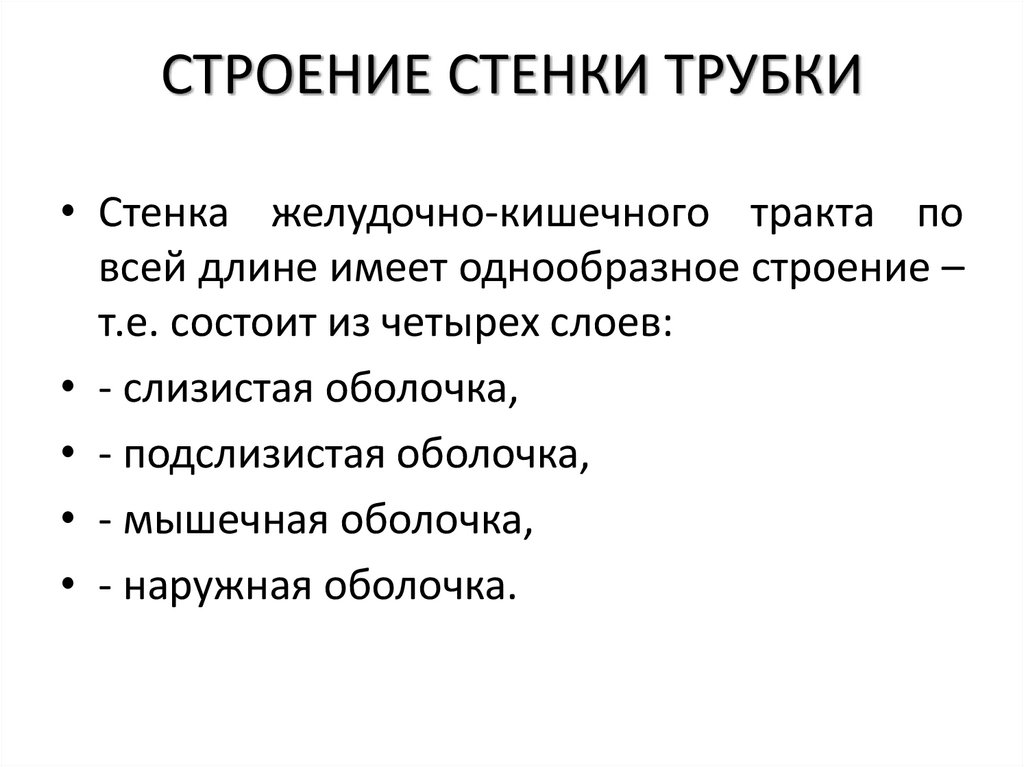 СТРОЕНИЕ СТЕНКИ ТРУБКИ