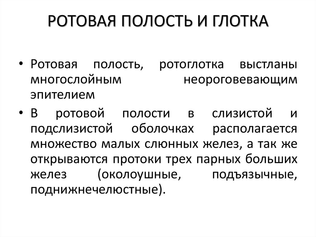 РОТОВАЯ ПОЛОСТЬ И ГЛОТКА