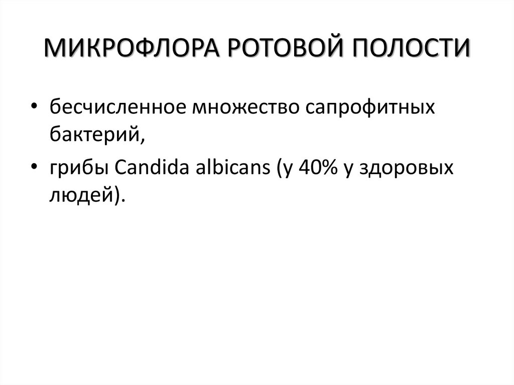 МИКРОФЛОРА РОТОВОЙ ПОЛОСТИ