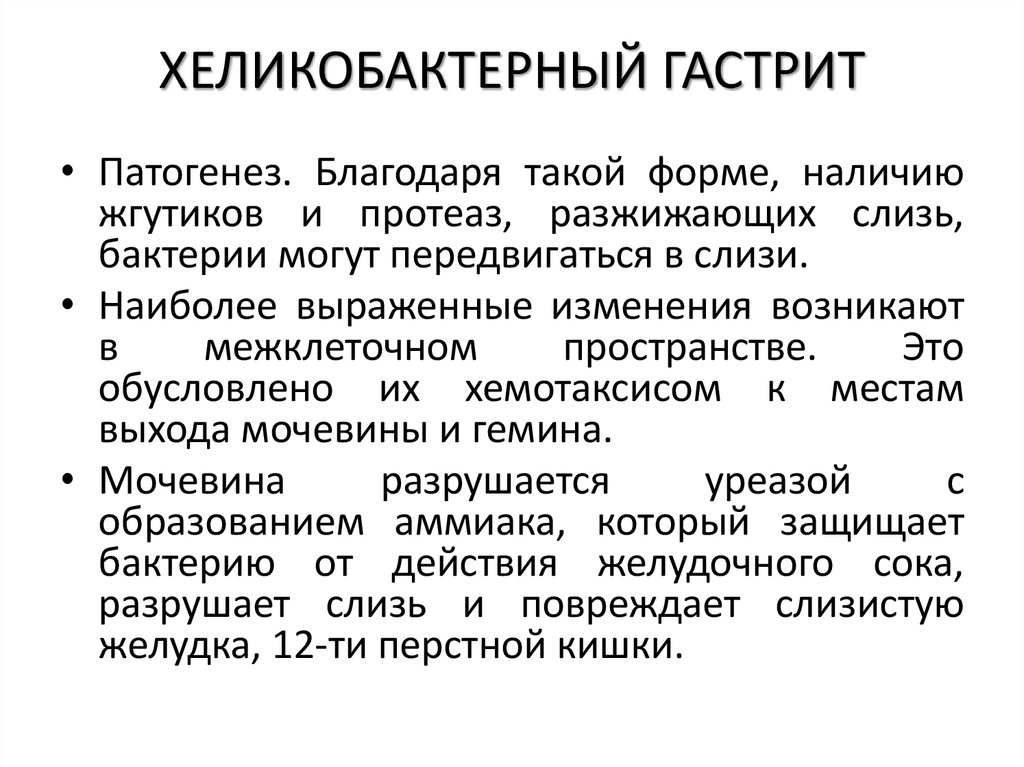 ХЕЛИКОБАКТЕРНЫЙ ГАСТРИТ