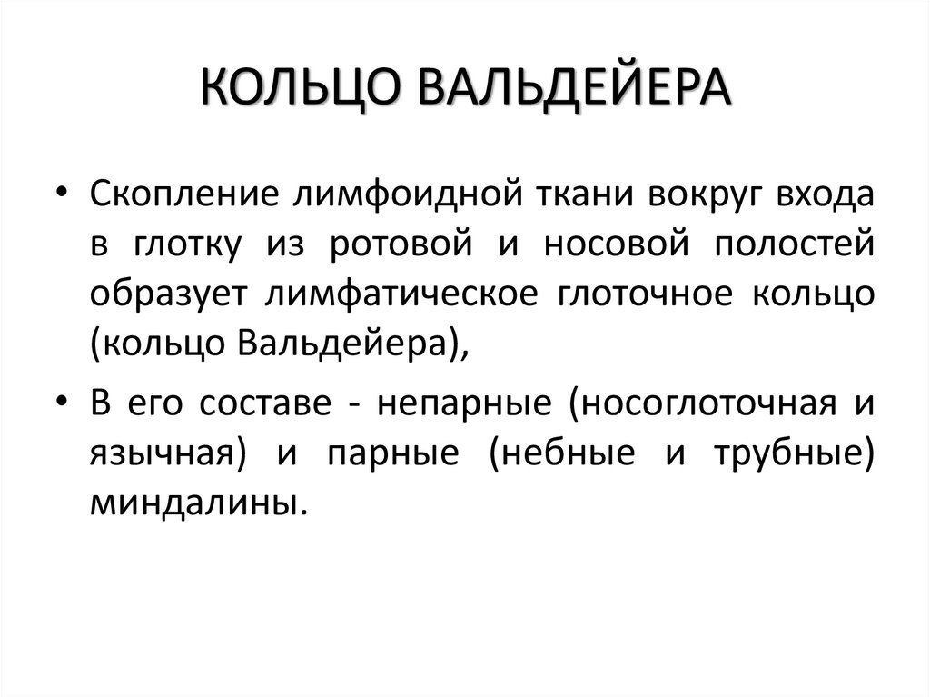 КОЛЬЦО ВАЛЬДЕЙЕРА