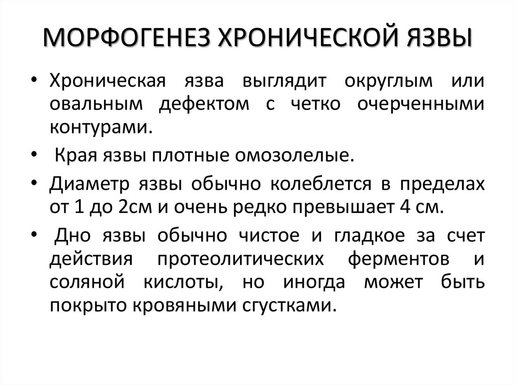 МОРФОГЕНЕЗ ХРОНИЧЕСКОЙ ЯЗВЫ