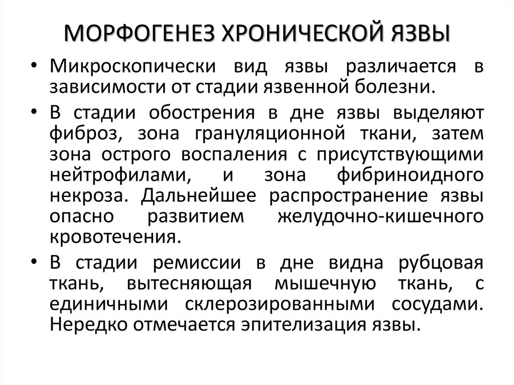 МОРФОГЕНЕЗ ХРОНИЧЕСКОЙ ЯЗВЫ