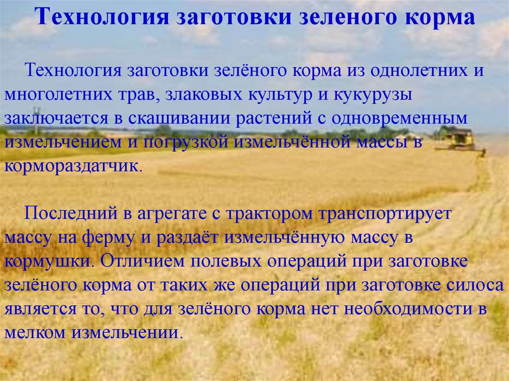 Технология заготовки зеленого корма