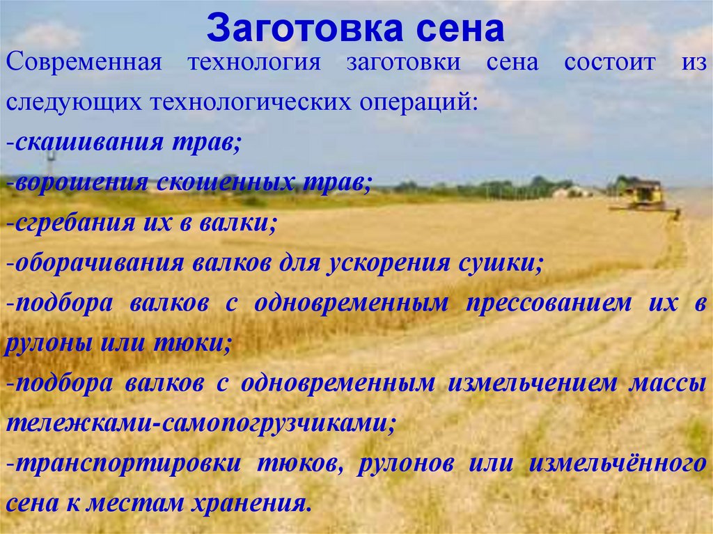 Заготовка сена