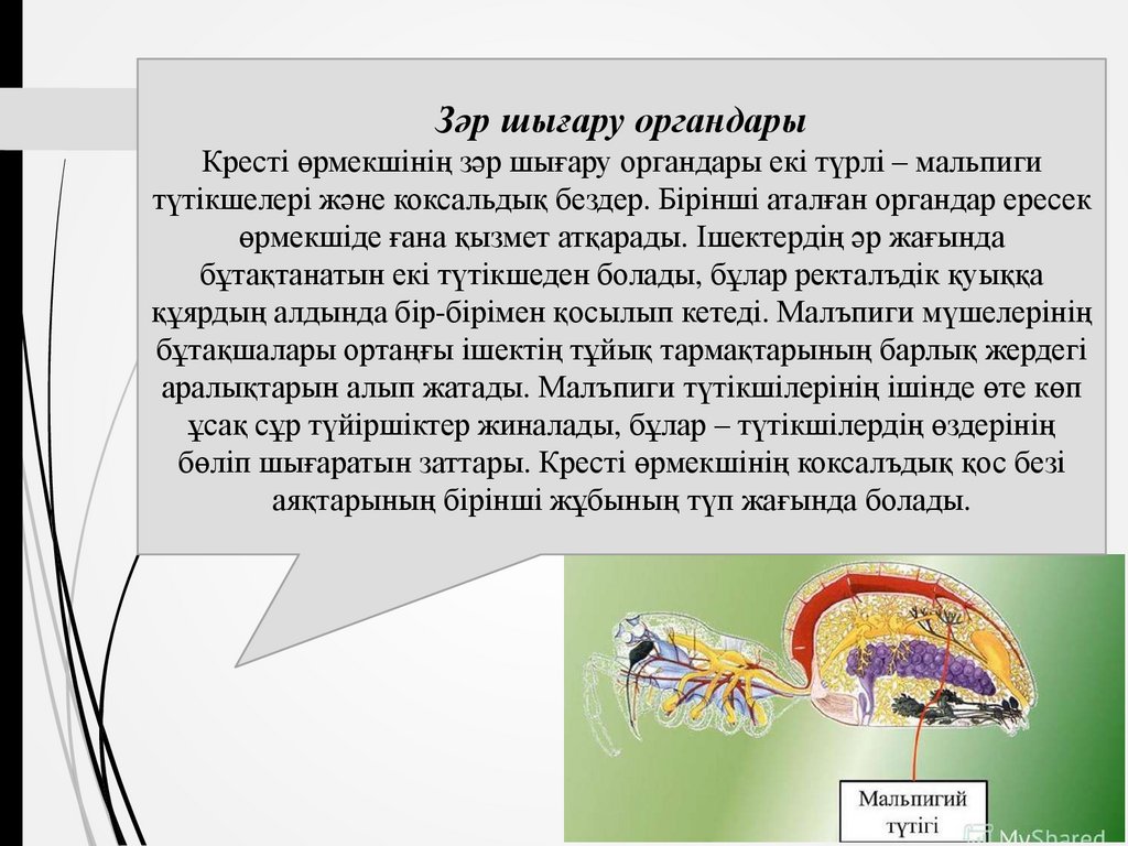 Жетілген ауыл эротикасы