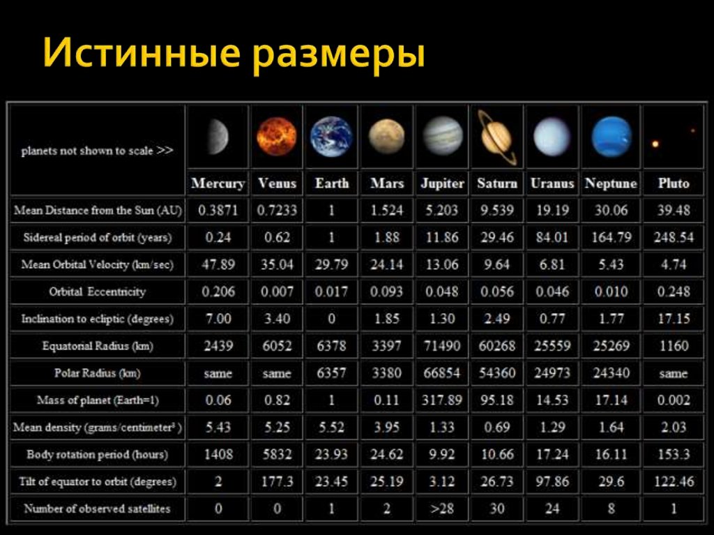 Истинные размеры