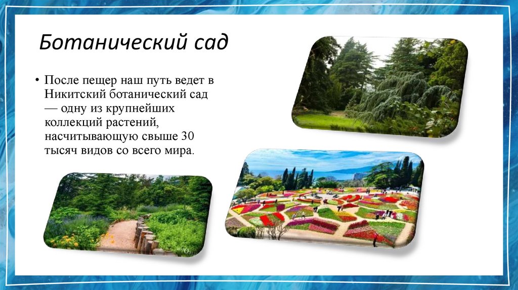 Ботанический сад