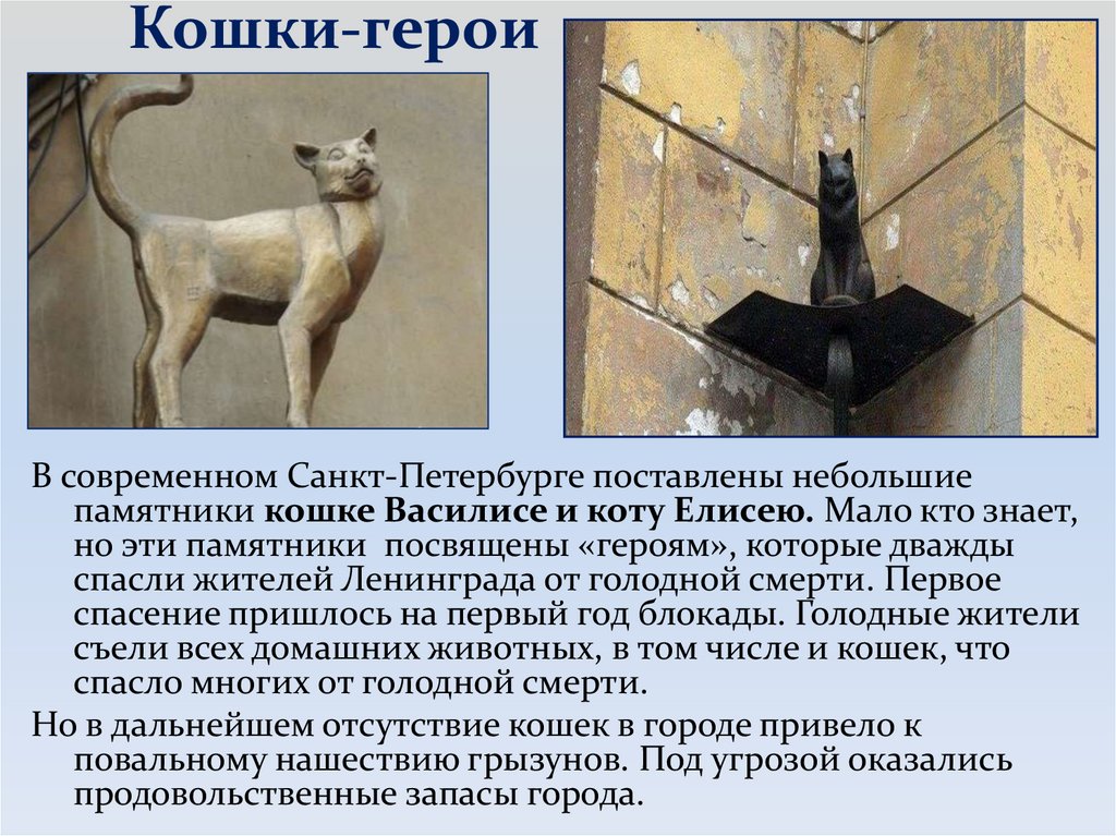 Кошки-герои