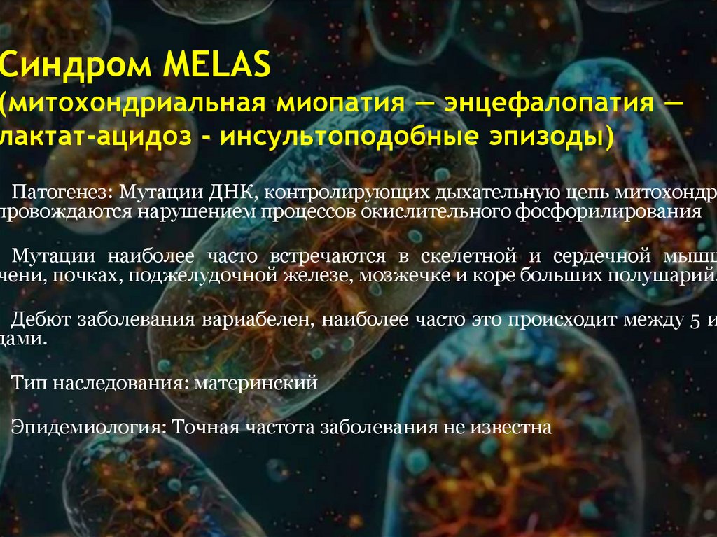 Синдром MELAS (митохондриальная миопатия — энцефалопатия — лактат-ацидоз - инсультоподобные эпизоды)