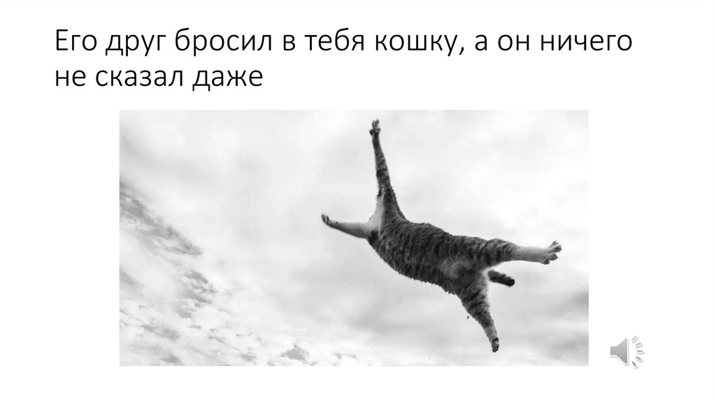 Его друг бросил в тебя кошку, а он ничего не сказал даже